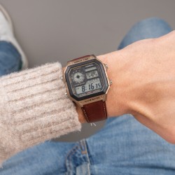 کاسیو CASIO AE-1200WHL-5A
