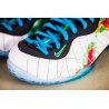 NIKE AIR FOAMPOSITE ONE WEATHER MAN