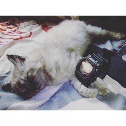 جیشاک GSHOCK GX-56BB-1