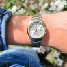 کاسیو CASIO LTP-1183G-7A